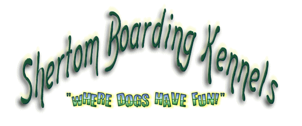 Shertom Boarding Kennels -- Where dogs have fun!
